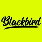 blackbirddigital