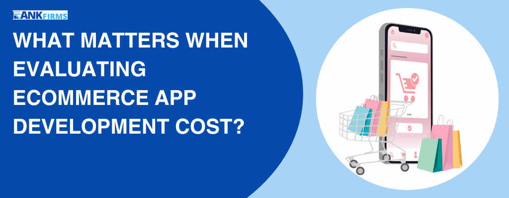 What matters when evaluating eCommerce app development cost